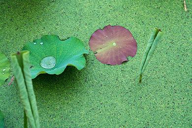 疯狂科学家姥爷瑞克正式加入《华纳大乱斗》